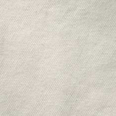 The Painter Pant in Seeded Natural Chipped Canvas