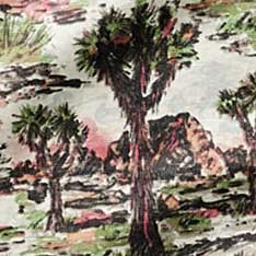 The Davis Shirt in Desert Sunset