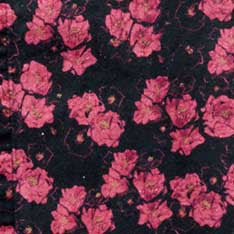 The Hawthorne Shirt in Cactus Floral