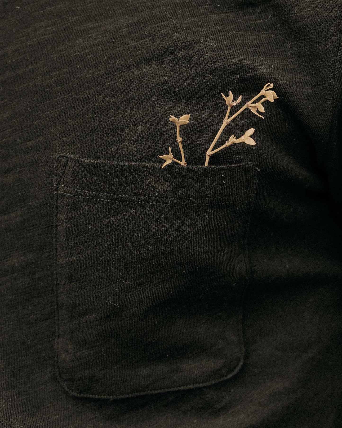 The Organic Cotton Tee in Black Indigo